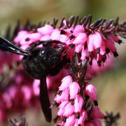 IMG_1029.jpg