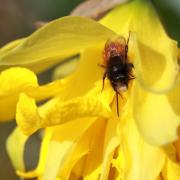 IMG_1049.jpg