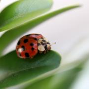 IMG_1059.jpg
