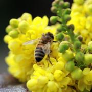 IMG_1172.jpg