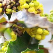 IMG_1180.jpg