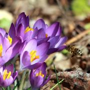large_IMG_6209_v1.jpg